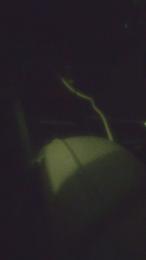 manhegotit webcam model stream image