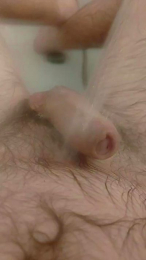 Piloupon webcam model stream image