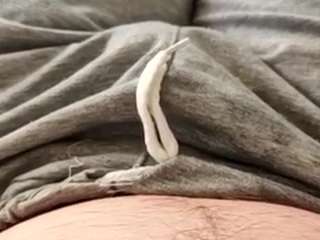 semibo webcam model stream image