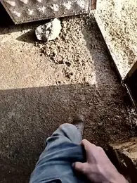 murokkk31 webcam model stream image