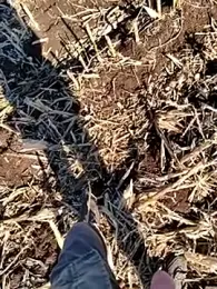 murokkk31 webcam stripchat model stream image