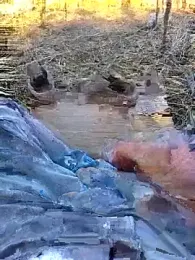 murokkk31 webcam model stream image