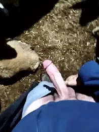 murokkk31 webcam model stream image