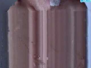 essartier webcam model stream image