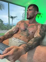 DimitriSullivan_ webcam stripchat model stream image