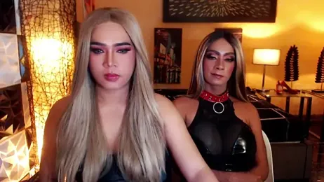 SeductiveAshleyTS webcam model stream image