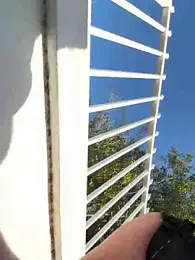 Reggie_roxie webcam model stream image