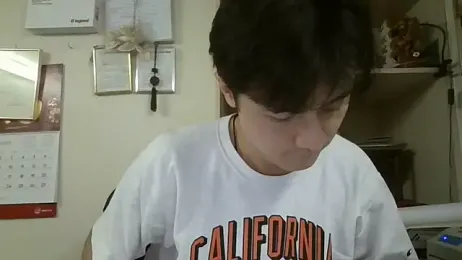 changbibit webcam model stream image