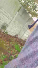 notarealman2025 webcam model stream image