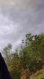 notarealman2025 webcam model stream image