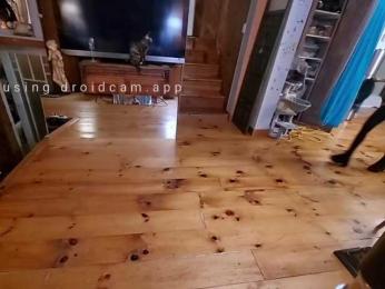 TNT-TinyNTroubble69 webcam model stream image