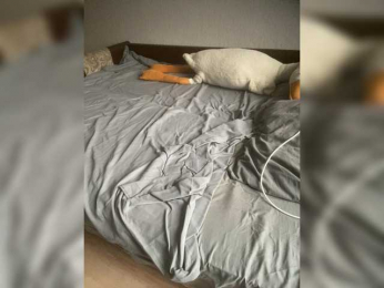 Xyligana webcam model stream image