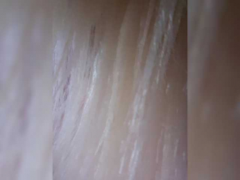 BielkA-4 webcam model stream image