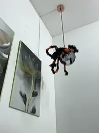 Adam_Loveee webcam model stream image