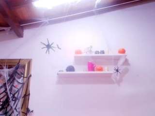 bss-naia webcam model stream image