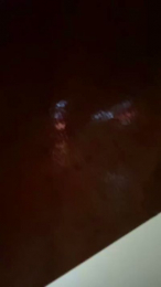 Latinaakita4 webcam model stream image