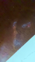 Latinaakita4 webcam model stream image