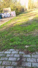 Pagani56 webcam model stream image