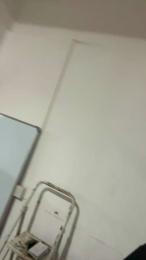 Micarica webcam model stream image