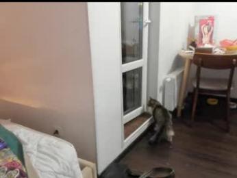 sexycode1ne webcam model stream image