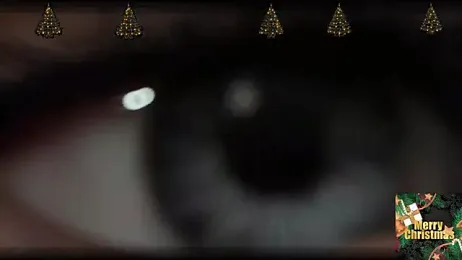 SK010 webcam model stream image