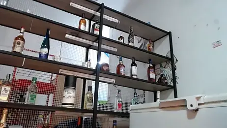 DAELAA webcam model stream image