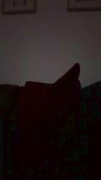 tana28 webcam model stream image