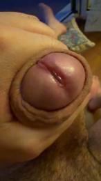 Novaracl webcam model stream image