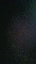 Merlinawhithe webcam model stream image