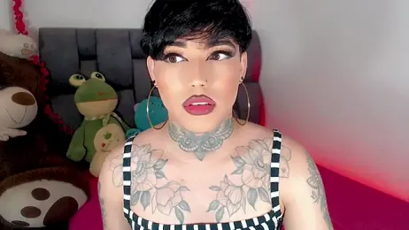 little_star_porn webcam model stream image