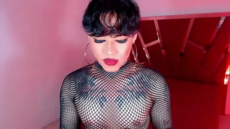 little_star_porn webcam model stream image