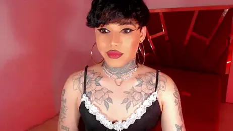 little_star_porn webcam model stream image