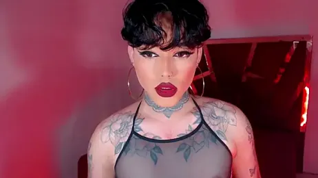 little_star_porn webcam stripchat model stream image