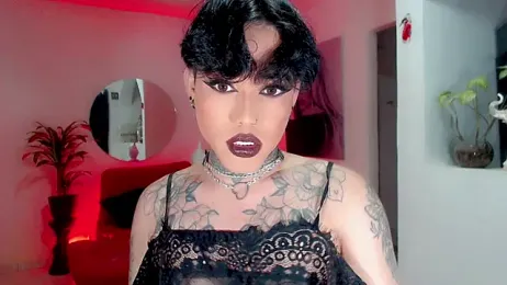 little_star_porn webcam model stream image