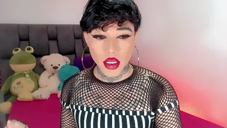 little_star_porn webcam model stream image