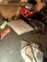 Likewise webcam model stream image