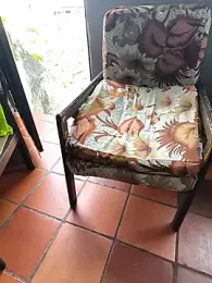 Blanco2023 webcam model stream image