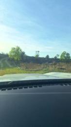 Gerontofilia webcam model stream image