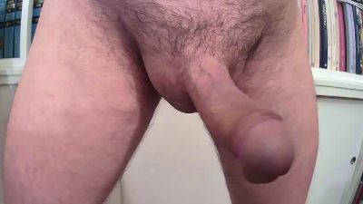 Scotris webcam model stream image