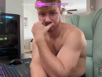 bigmcr1 webcam model stream image