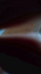 Cammamon55 webcam model stream image