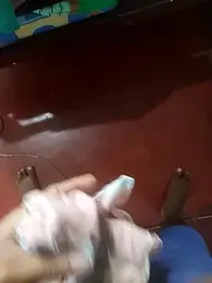 black_panth99 webcam model stream image