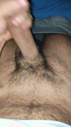 Vittosto webcam model stream image