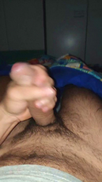 Vittosto webcam model stream image