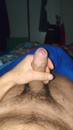 Vittosto webcam model stream image