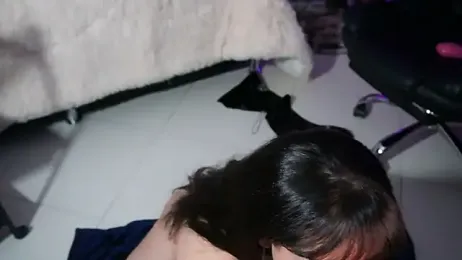 AriaMoonLight webcam stripchat model stream image