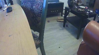 allforou_hot webcam model stream image