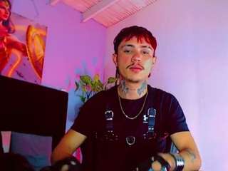 hannilest webcam model stream image