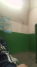 HECTOrr1r1 webcam model stream image