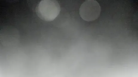 Bitch_Coin webcam model stream image